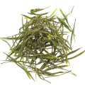 Wild Growing Anji Bai Cha Green Tea Brands Slimming Tea